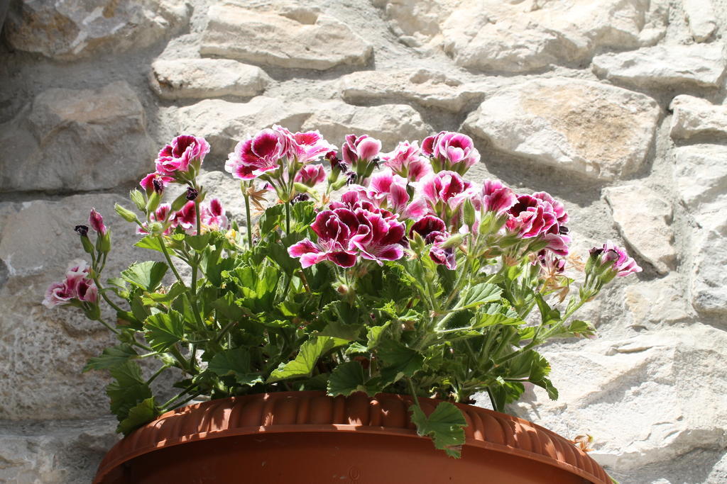Casa Vacanze Caccamo Santa Lucia מראה חיצוני תמונה